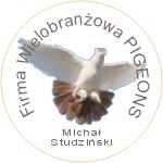 Firma Wielobranzowa Pigeons